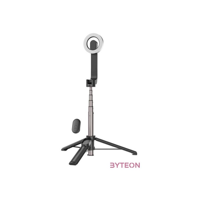 Telesin magnetic selfie stick