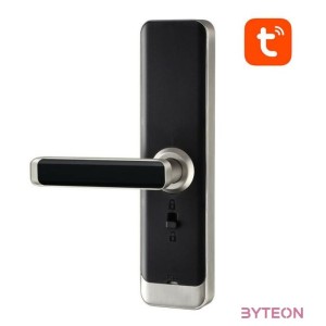 Avatto SDL-A270-S digital smart lock -5572 WiFi Silver