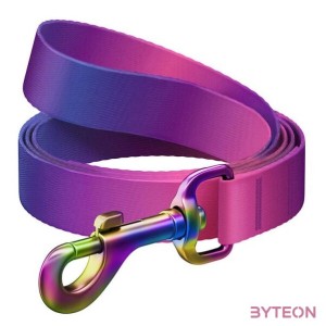 WAUDOG gradient nylon dog leash, 15mm wide, 122cm long, purple