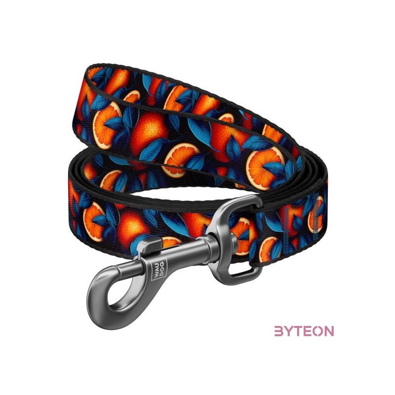 Nylon dog leash, pattern Oranges length 122 cm Waudog