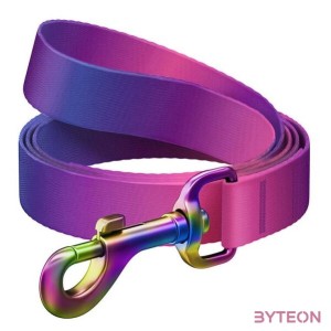 WAUDOG gradient nylon dog leash, 15mm wide, 122cm long, purple