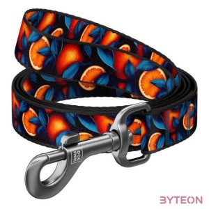 Nylon dog leash, pattern Oranges length 122 cm Waudog