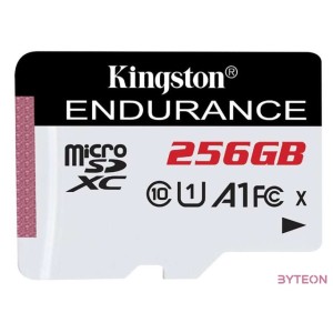 KINGSTON 256GB microSDXC Endurance
