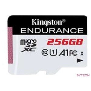 KINGSTON 256GB microSDXC Endurance