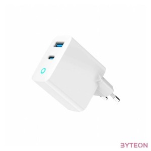 GEMBIRD 2-port 65W GaN USB fast charger