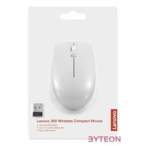 LENOVO 300 Wireless Compact Mouse Cloud