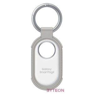 SmartTag2 Rugged Case, Gray