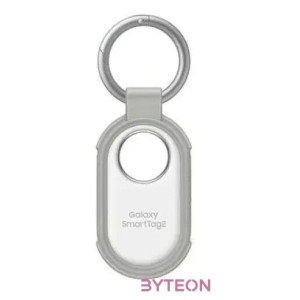 SmartTag2 Rugged Case, Gray