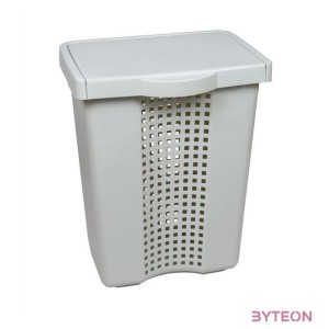 FLAIR 80100 LINETTE 60L világosszürke szennyestartó