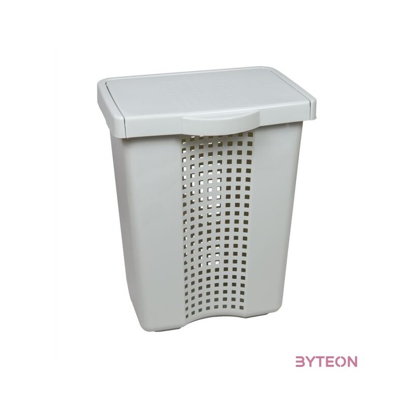 FLAIR 80100 LINETTE 60L világosszürke szennyestartó