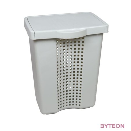 FLAIR 80100 LINETTE 60L világosszürke szennyestartó