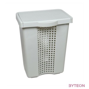 FLAIR 80100 LINETTE 60L világosszürke szennyestartó