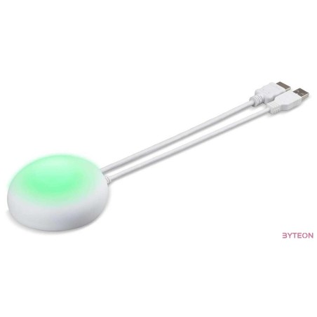 Acer WPT2-H HDMI Transmitter CastMaster Touch Presentation System for WPS2-H