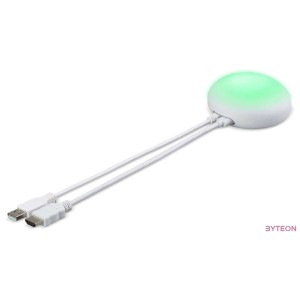 Acer WPT2-H HDMI Transmitter CastMaster Touch Presentation System for WPS2-H