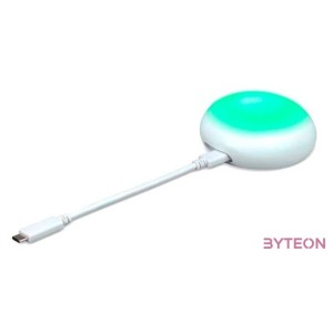 Acer WPT2-H HDMI Transmitter CastMaster Touch Presentation System for WPS2-H