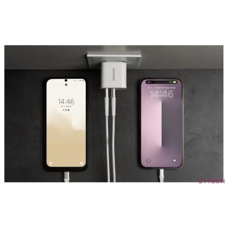 Intenso W24AA 2x USB-A Power Adapter White