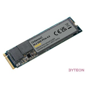 Intenso 1TB M.2 2280 NVMe MI500