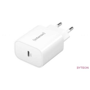 Intenso W20C Power Adapter White