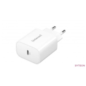 Intenso W20C Power Adapter White