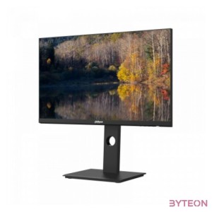 Dahua 24 LM24-P301A IPS LED