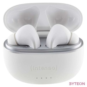 Intenso Buds T302A ANC Bluetooth Headset White