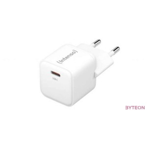 Intenso W30C GaN Power Adapter White