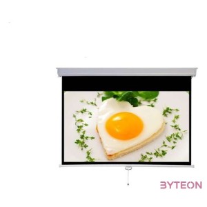 MEDIUM Rollo vetítővászon 298x168 cm 135 169