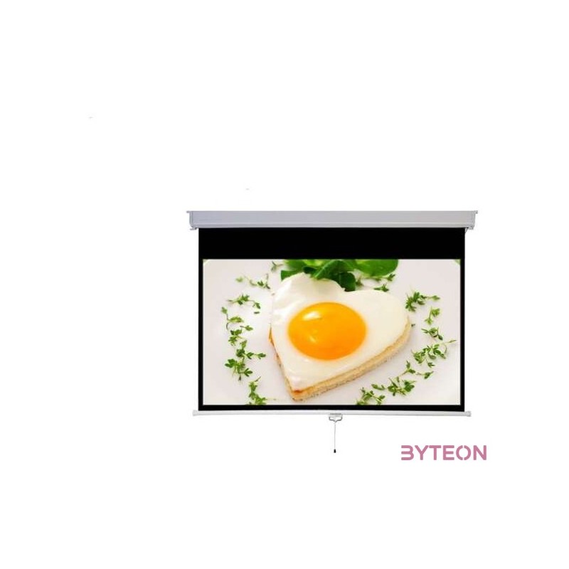 MEDIUM Rollo vetítővászon 298x168 cm 135 169