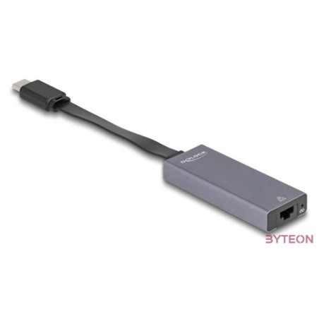 Delock USB Type-C adapter  2,5 Gigabit LAN vékony