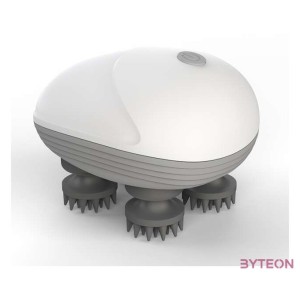 Media-Tech Fejmasszírozó