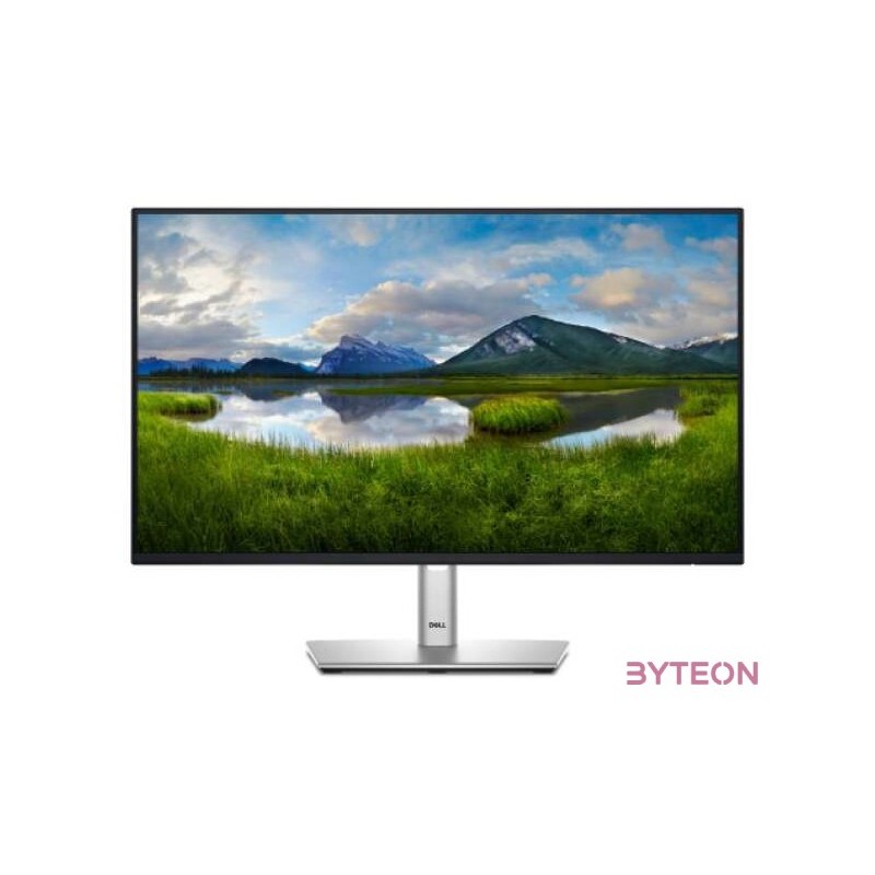 Dell P2425 61,1cm (24) WUXGA IPS Office-Monitor HDMI,DP,USB-C Pivot