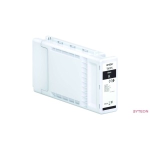 Epson T41F5 - Fekete