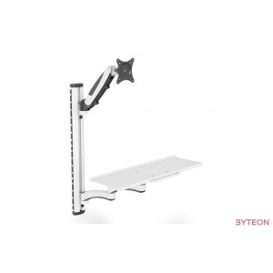 DIGITUS Arbeitsplatz (Monitor, Tastatur, Maus) Wandmontage
