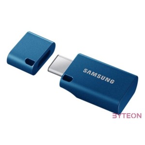 Samsung Flash Drive Type-C 512 GB 3.2 Gen 1 USB Stick blau