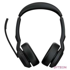 Jabra Evolve2 55 MS Stereo USB Headset schwarz USB-A