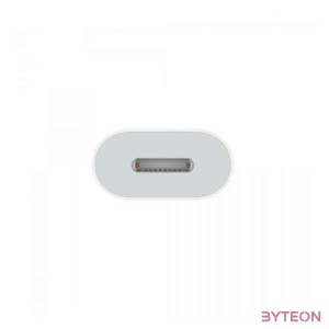 Apple USB-C to Lightning Adapter