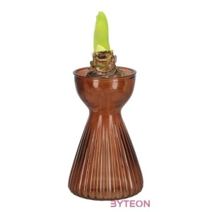 Krókusz növény gyökereztető bordázott üvegváza, 12,3 cm átmérőjű, barna