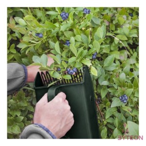 Bogyós gyümölcs szedő, ergonomikus fogantyúval, 14 x 22 cm