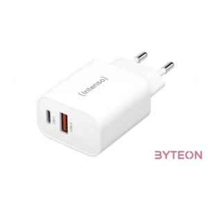 Intenso W30AC Power Adapter White