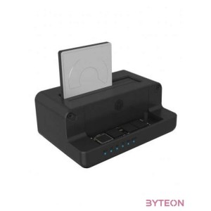Raidsonic Icy Box IB-2914MSCL-C31 Docking Station Black