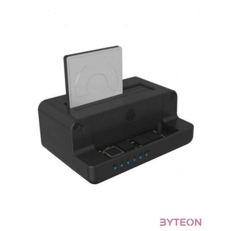 Raidsonic Icy Box IB-2914MSCL-C31 Docking Station Black