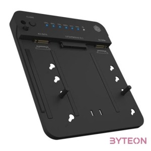 Raidsonic IcyBox IB-2915MSCL-C31 CloneStation  DockingStation for M.2 NVME  SATA 2.5,3.5 SSD,HDD