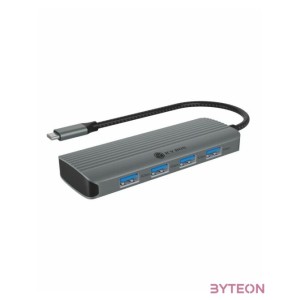 Raidsonic IcyBox IB-DK4022a-CPD USB Type-C Dockingstation