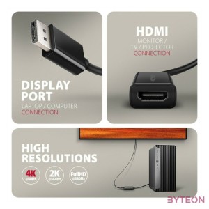AXAGON RVD-HI20N DisplayPort  HDMI 2.0 adapter 4K,60Hz Black