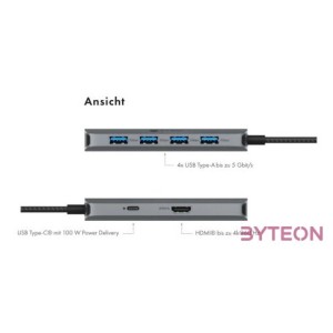 Raidsonic IcyBox IB-DK4022a-CPD USB Type-C Dockingstation