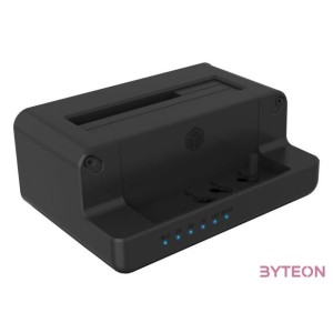 Raidsonic Icy Box IB-2914MSCL-C31 Docking Station Black