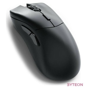 Glorious Model D 2 PRO Series Wireless Mouse Black