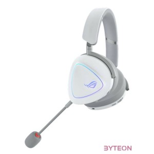 HDS ASUS ROG DELTA II White