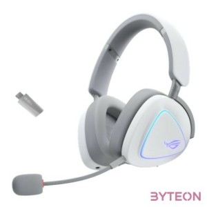 HDS ASUS ROG DELTA II White