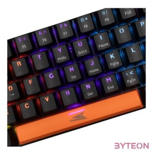 BILL Baracuda BGK-03121B,BL-US DOLPHIN-B - Mechanikus gamer billentyűzet kék kapcsolóval - Fekete - US